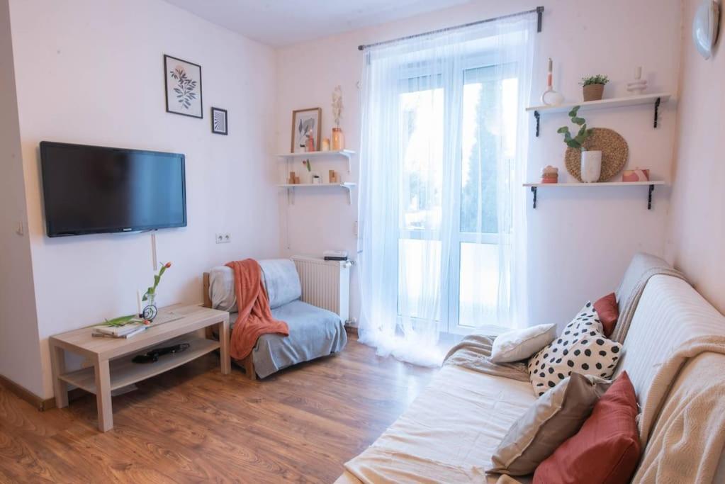Home Studio Z Ogrodkiem I Altana Krakov Exteriér fotografie
