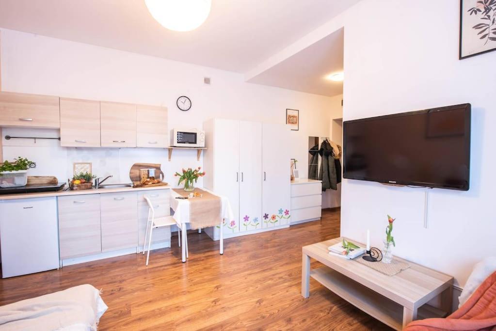 Home Studio Z Ogrodkiem I Altana Krakov Exteriér fotografie